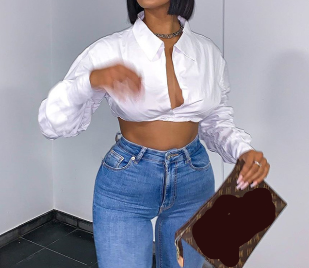 Deep V Puff Sleeve Tricolor Shirt