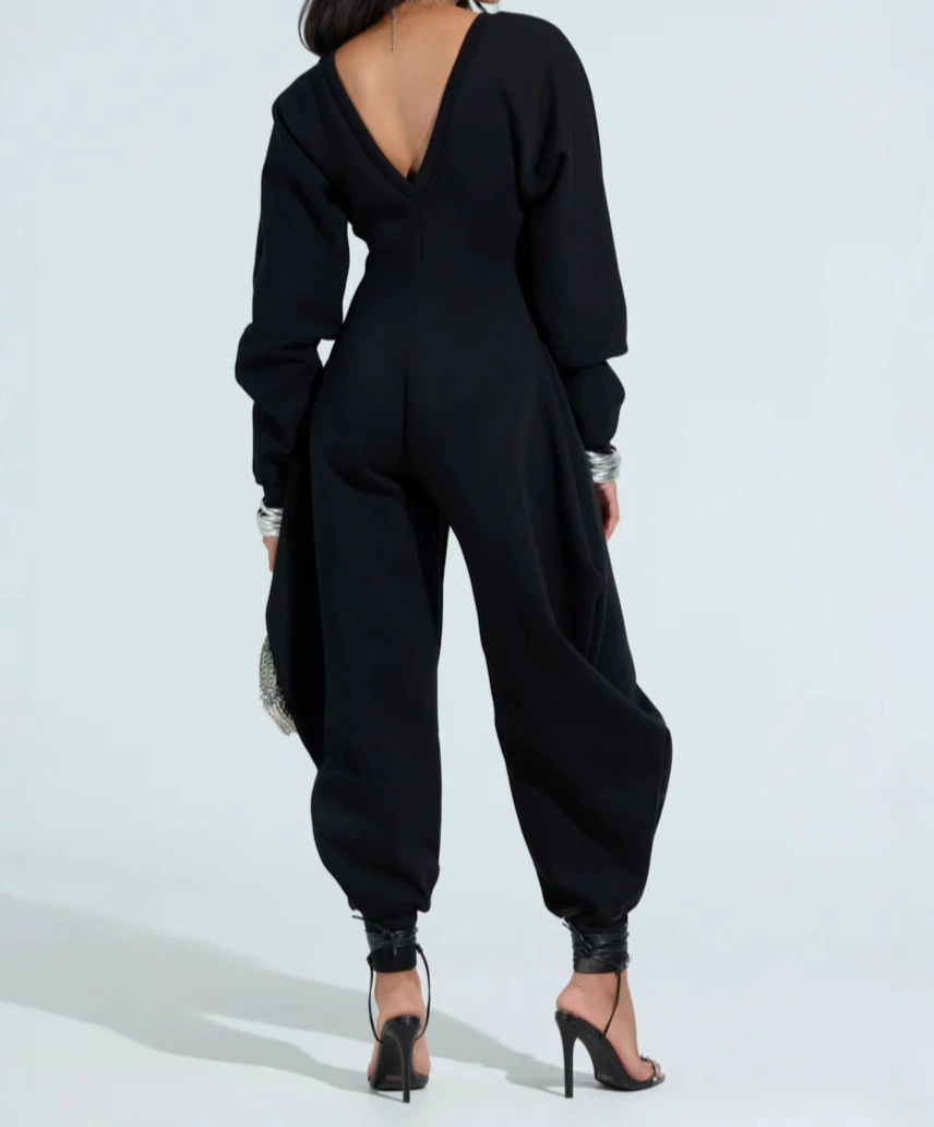 Deep V Neck Long Sleeve Shapely Jumpsuit
