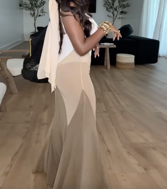 V-neck Sleeveless See-Through Cover-Up Dress