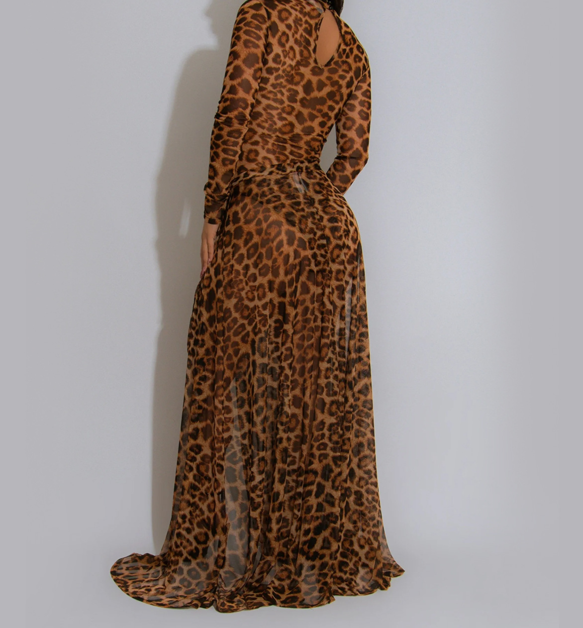 Sexy Leopard Print Long Sleeve Slit Dress