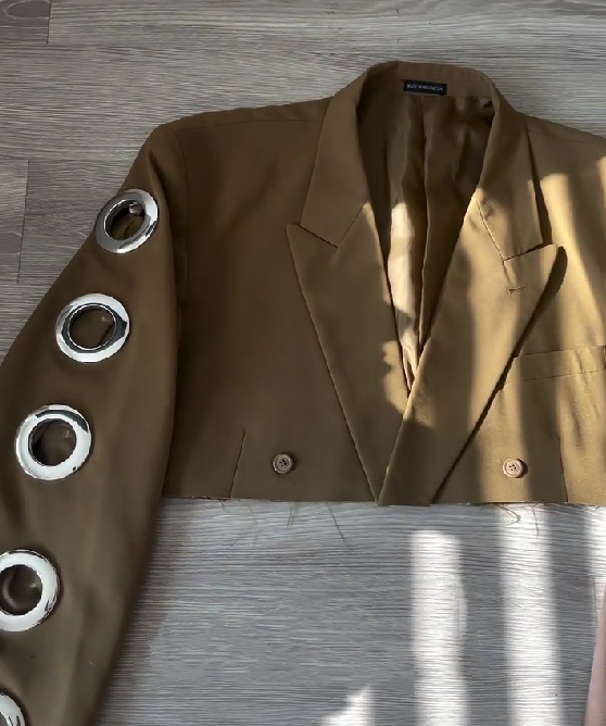 The Dazzle Stylish Blazer